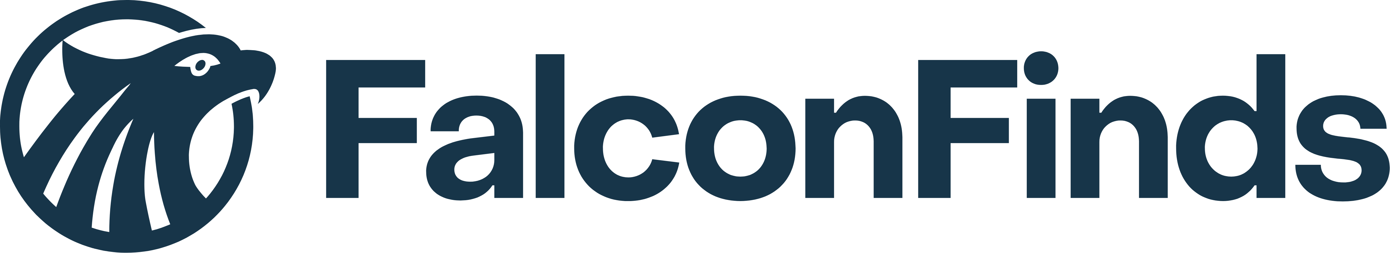 FalconFinds